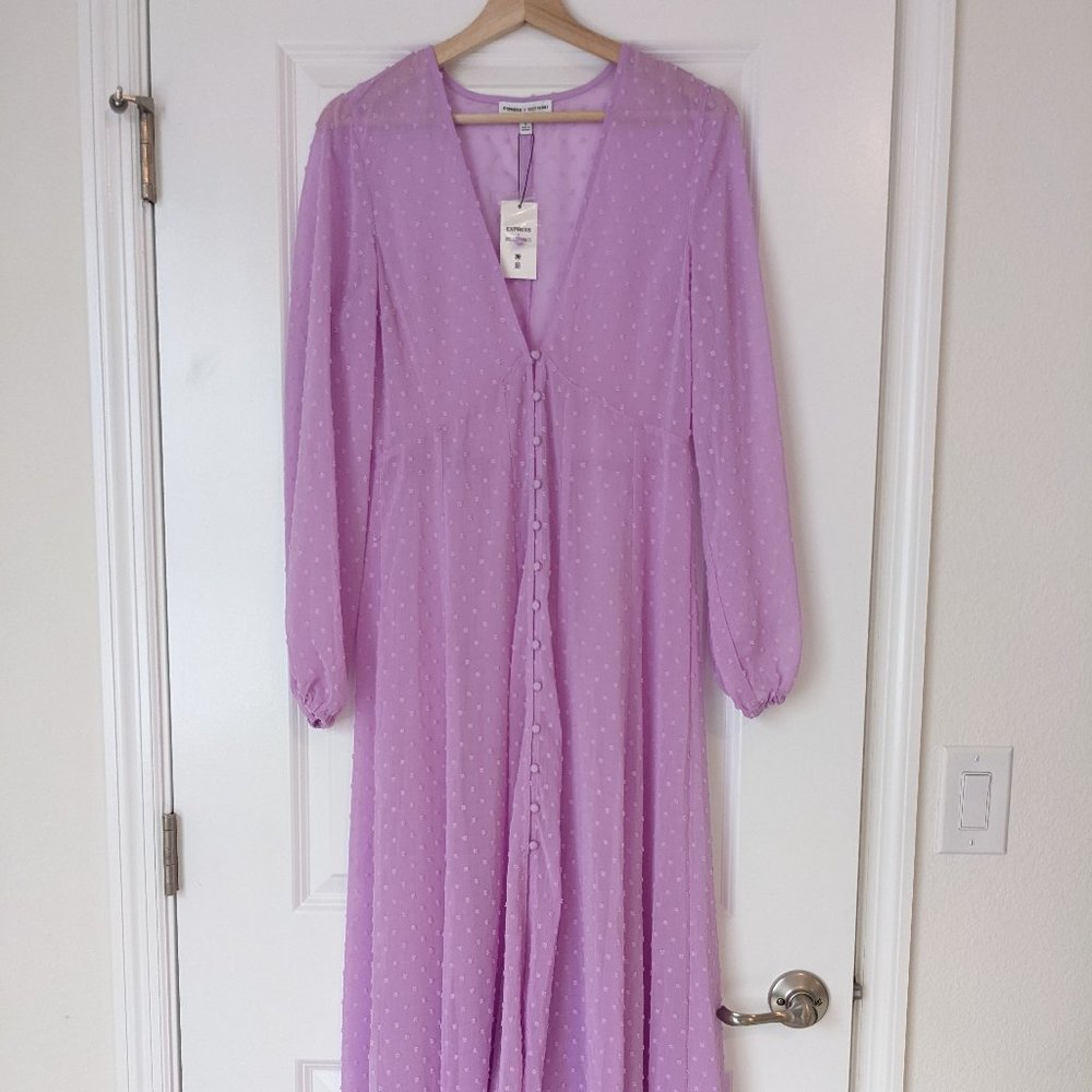 Express X Rocky Barnes Lilac Swiss Dot Sheer Dress NWT